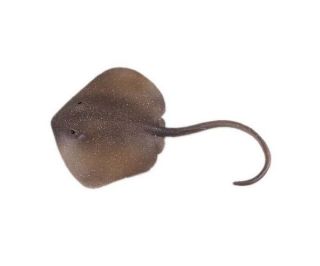 Obrázek z Figurka Rejnok Trnucha východní 18,5cm 